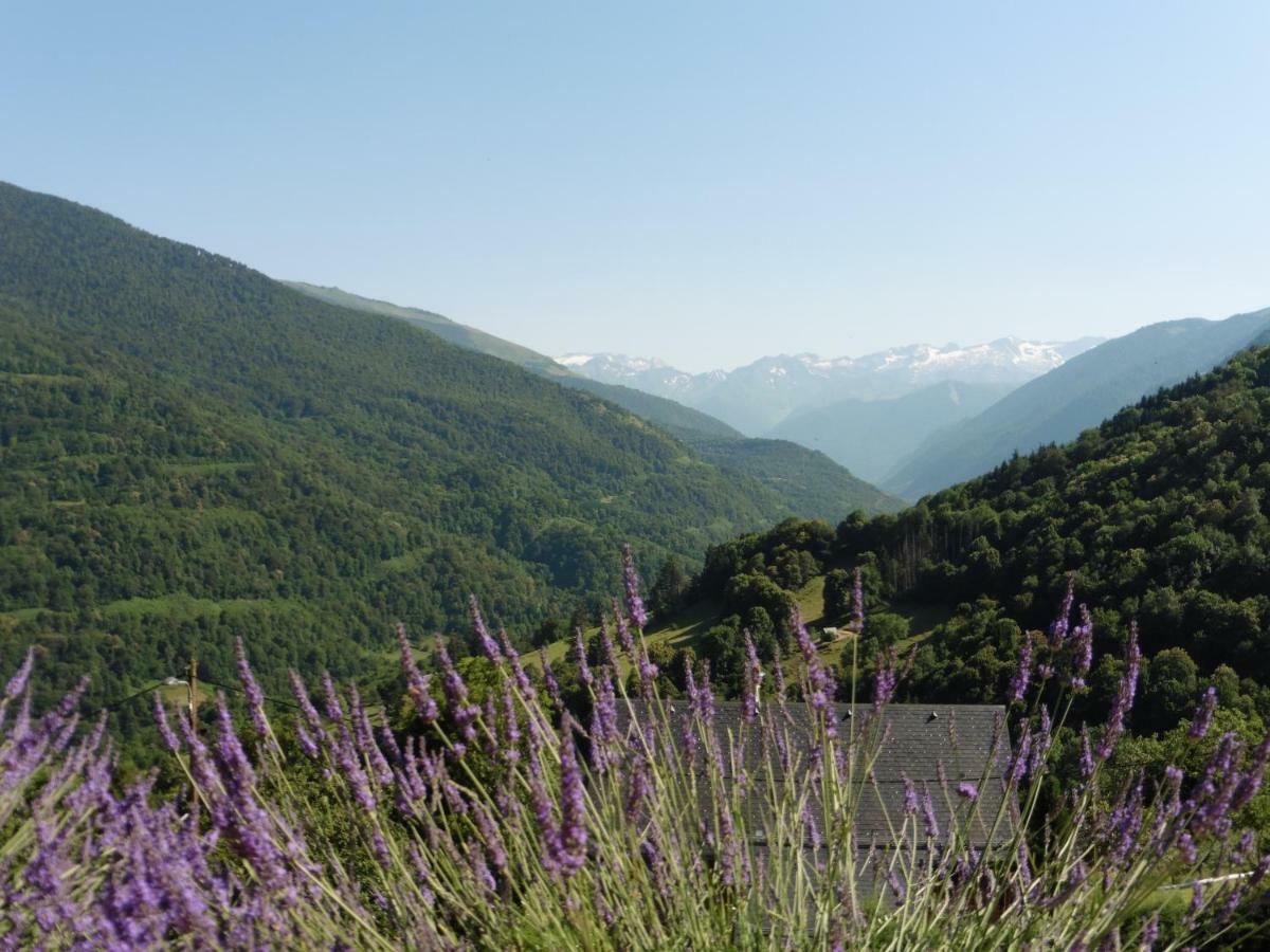 Chalet De Barraou Bed & Breakfast Binos Bagian luar foto